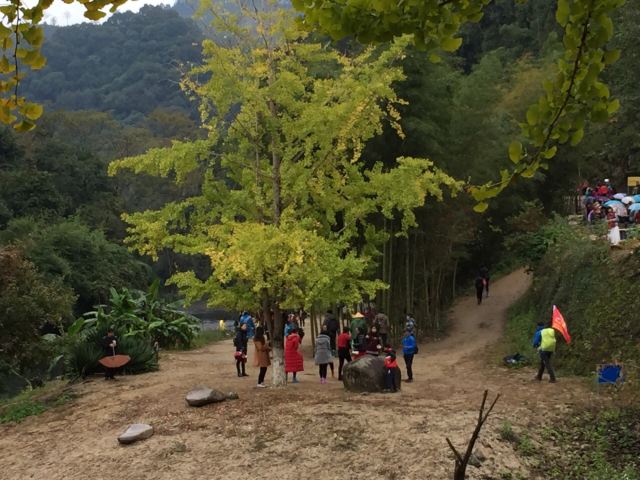 마오쯔펑 린창