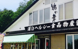 Urausu Healthy Shokuhin Bussan-Kan