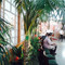 Mandarin Restaurant
