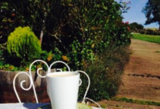 The Old Dairy美食图片