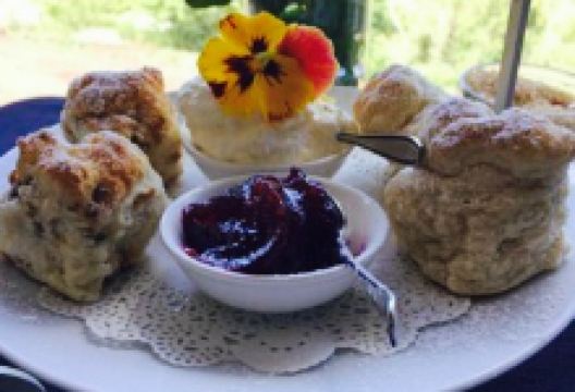 Elements at Montville美食图片