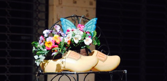 Eetcafe Terras de Molen餐厅图片