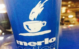 Merlo Coffee