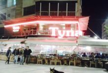 Tyna Cafe美食图片