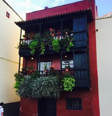 Bar Sputnik餐厅图片