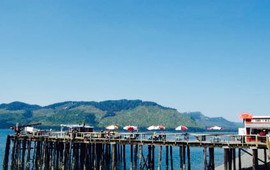 The Crab Station
