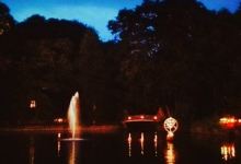 Parkkaffee景点图片