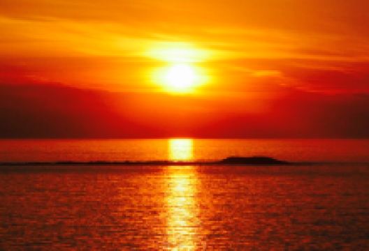 Auberge du Gros Bill美食图片