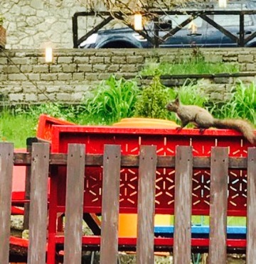 Karma Cafe Bar餐厅图片