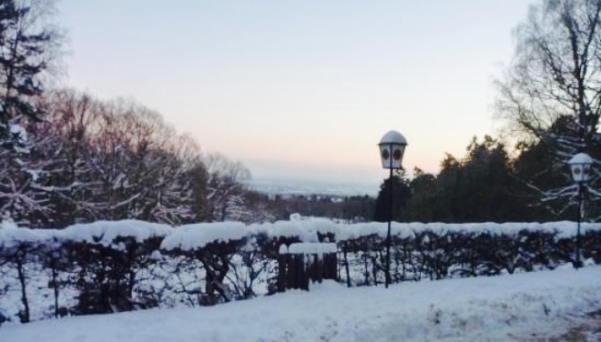 Buergelstollen餐厅图片