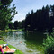 Restaurant Issinger Weiher