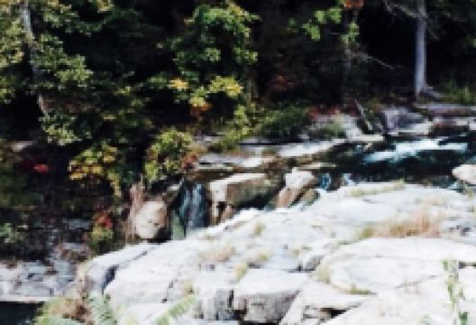 Indian Falls Log Cabin Restaurant美食图片