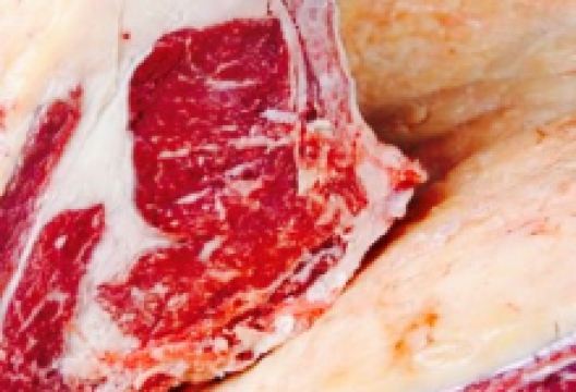 Beethoven美食图片