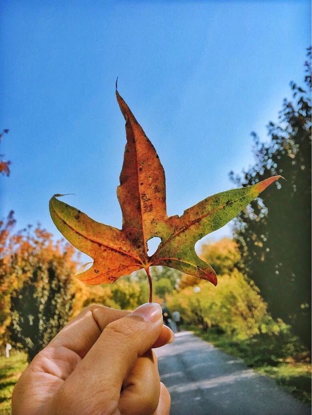 Jiangfu Park