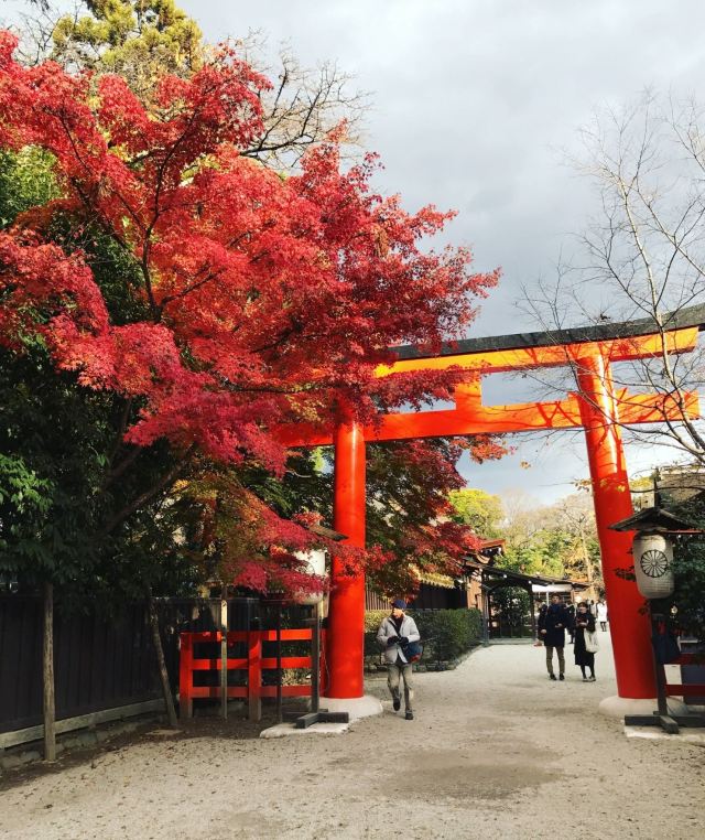 下鴨神社