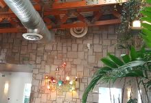 Bistro Garden Grill and Bar美食图片