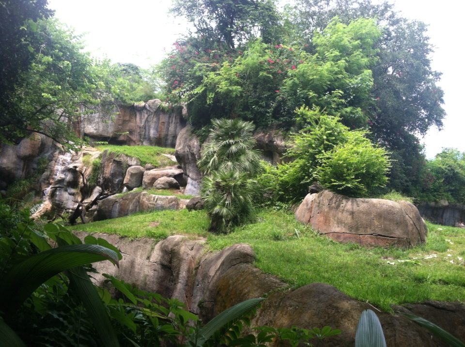 Taco Bell餐厅图片