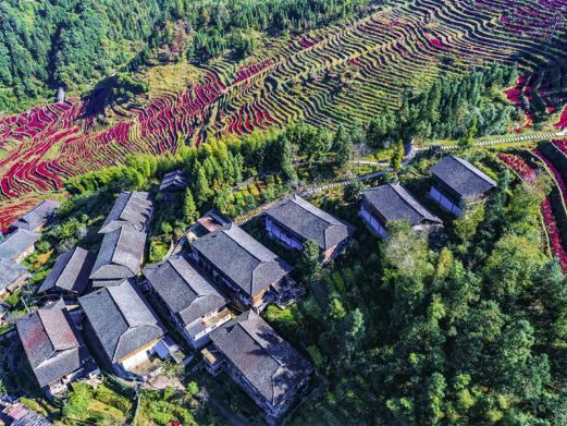 布尼梯田加乌瀑布景区