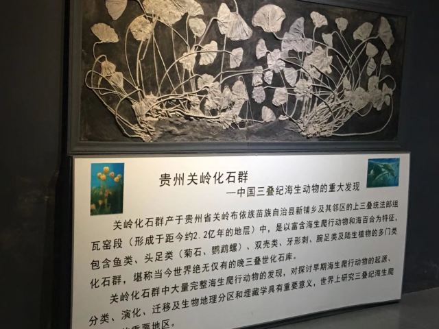 야오산