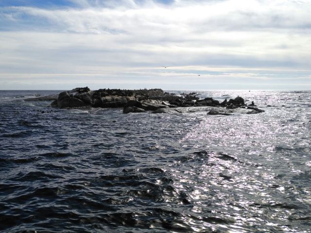 Table Mountain