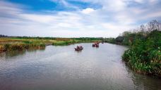 溱湖国家湿地公园-泰州-doris圈圈