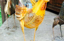 Biosalas Priroda餐厅图片