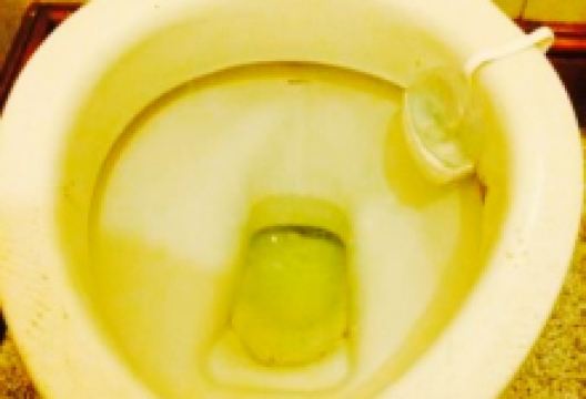 New China Inn美食图片