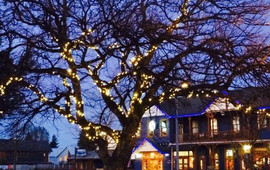 The Blue Pub