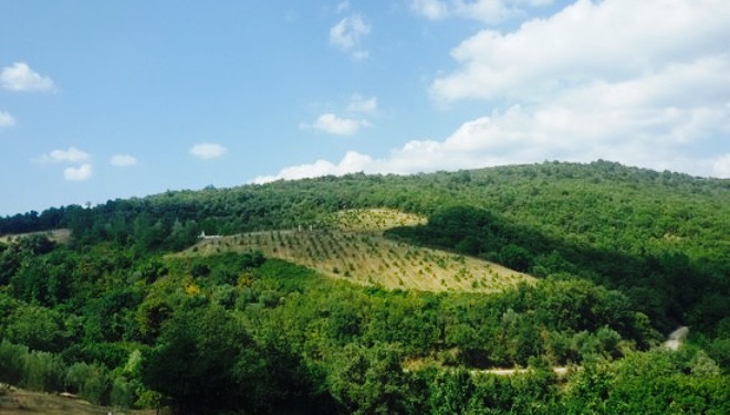 Bar-Ucci Wine Bar餐厅图片