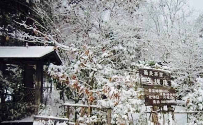 Sobachaya Yagoan餐厅图片