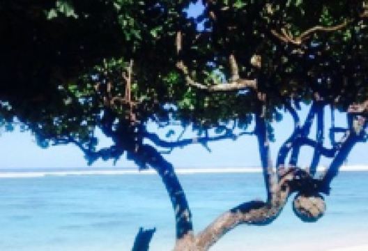 Shipwreck Hut at the Aro'a Beachside Inn美食图片