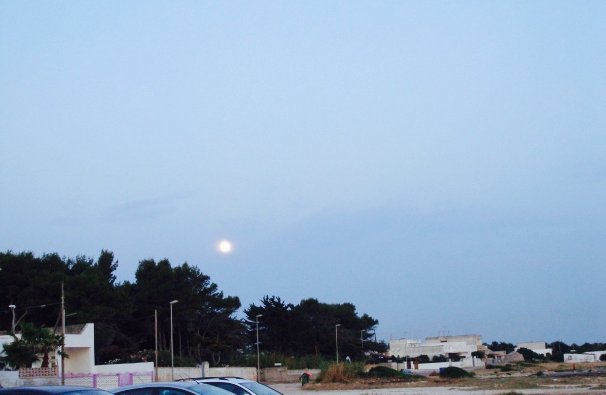 Ristorante Pizzeria Da Rocco餐厅图片