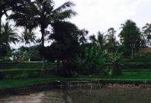 Bio Tirta Saung Botram美食图片