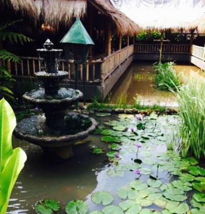 Nasi Liwet Pak Asep Strawberry 3