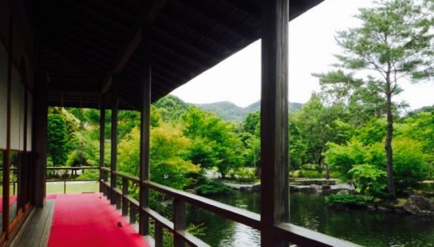 Gyokuro No Sato餐厅图片