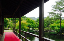 Gyokuro No Sato餐厅图片