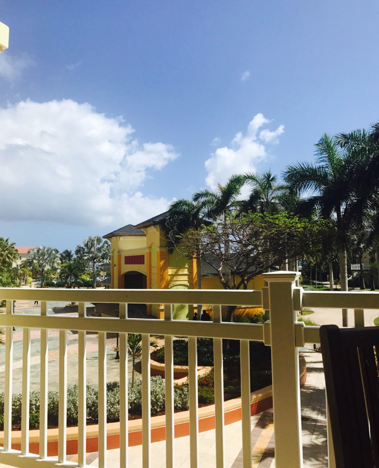 Cafe Calypso餐厅图片