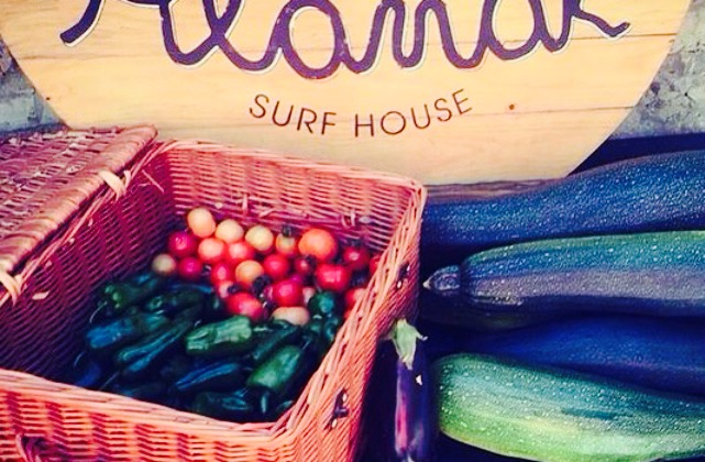 La Terraza de Alamar