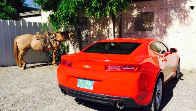 Carmen's Kitchen餐厅图片