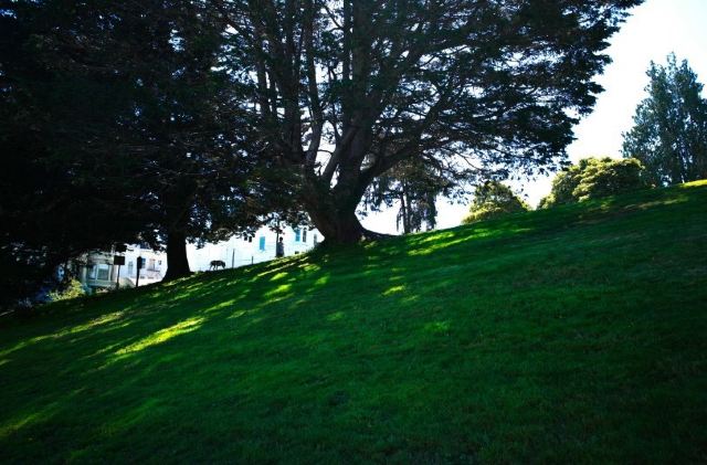 Alamo Square Park