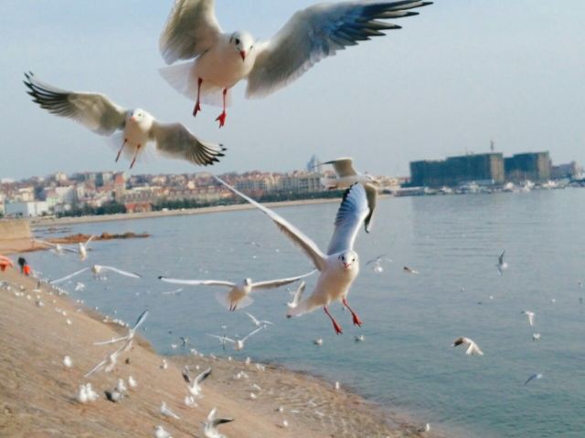 잔교(잔차오)