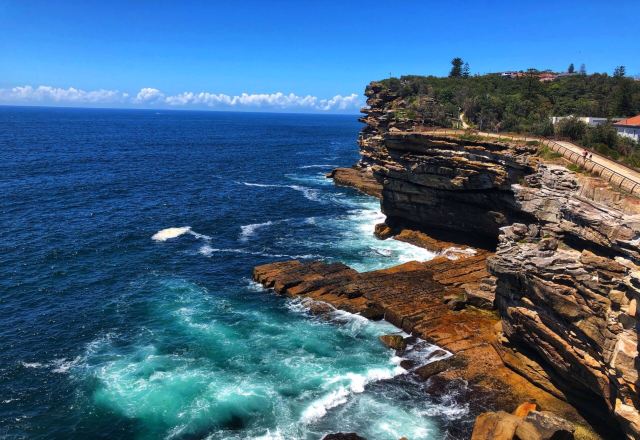 South Head and Watsons Bay Walk