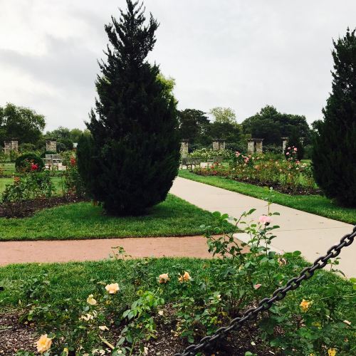 Loose Park Rose Garden Attractions 世界美食游走达人 Kansas City