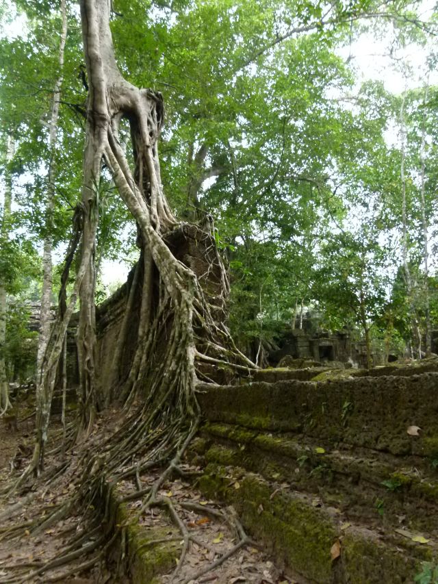 Preah Khan