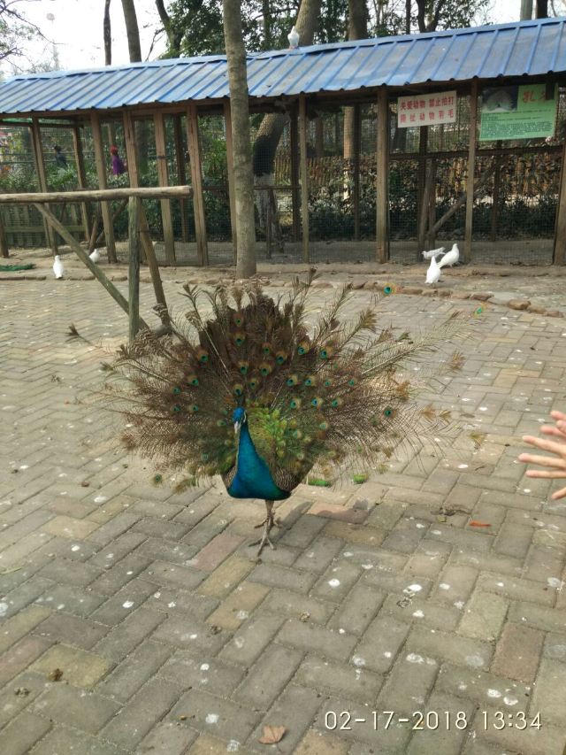 꾸이린동물원