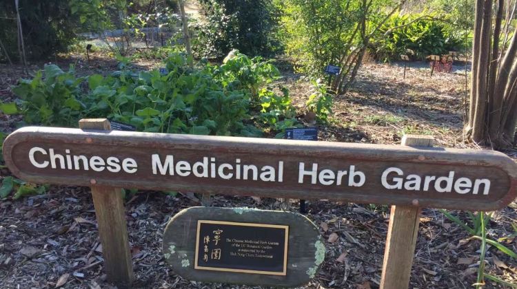 Uc Botanical Garden At Berkeley Tickets Deals Reviews Family