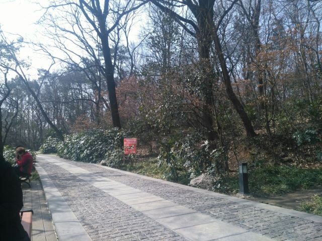 Zixia Lake