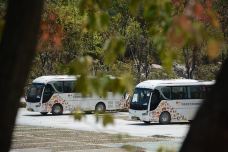 千峡湖生态旅游度假区-青田-doris圈圈