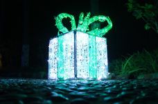 滨湖国家森林公园-合肥-doris圈圈