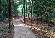 观音山景点图片
